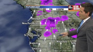 Local News Meteorologists Pay Tribute To Prince