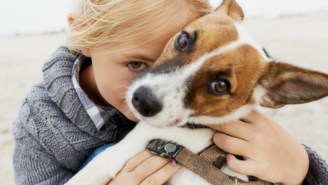 A New Study Says Your Dog Doesn’t Want To Be Hugged