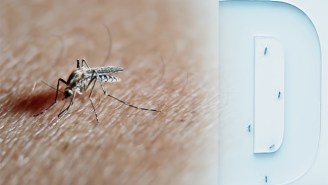 A Brazilian Ad Agency Has Created A Sweaty Billboard To Catch Mosquitoes
