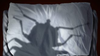 Science Has Found The Colors Bedbugs Love, So Burn Your Sheets Accordingly