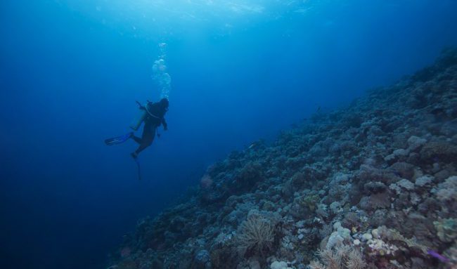 How Climate Change Is Suffocating The Oceans