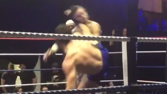 Watch This Fighter Get Absolutely Flattened By A Spinning Kick To The Head