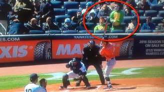 These Ninja Turtles Behind Home Plate At The Yankees Game Are Definitely ‘Last Week Tonight’ Fans
