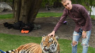 PETA Has A Problem With Justin Bieber And His Chained Tiger Pictures