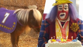 Overwhelmed Airports Are Using Ponies And Clowns To Make Passengers Happy