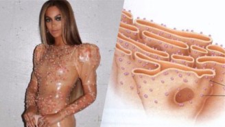 Beyonce’s MET Gala Latex Dress Looks Like All Of These Things