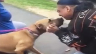 The Sight Of This Man Being Reunited With His Stolen Dog After Two Years Is A Testament To The Human-Animal Bond