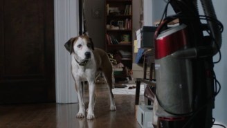 ABC’s New Talking Dog Comedy, ‘Downward Dog,’ Has A Full-Length Trailer