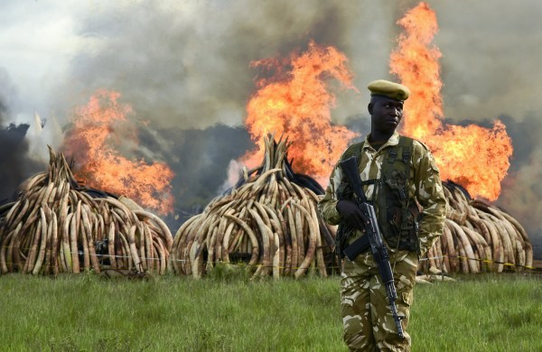 KENYA-IVORY-WILDLIFE-FIRE