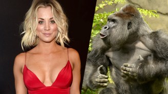 Kaley Cuoco Has Opinions About The ‘Senseless’ Killing Of Harambe The Gorilla