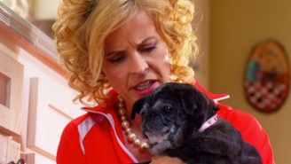 In ‘Lady Dynamite,’ Maria Bamford is dancing on the edge, with adorable pugs in tow