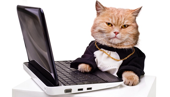 lolcatcomputer_Shutterstock-cropped