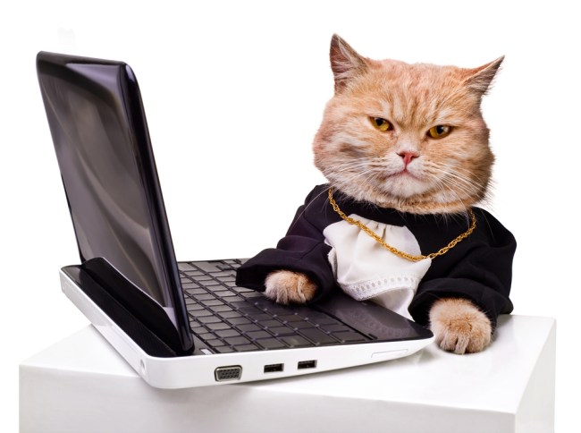 lolcatcomputer_Shutterstock