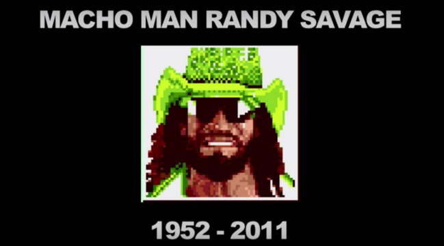 Celebrate Randy Savage By Reliving All Of His Video Game Appearances