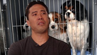 This Man Is Putting His Own Life In Danger To Save Dogs From Being Eaten