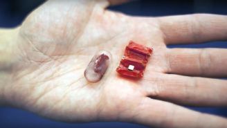 This Ingestible Origami ‘Robot’ Made Of Meat Might Save Your Life