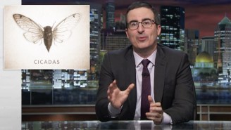 John Oliver Attempts To Brief The Emerging Cicadas On The Past 17 Years