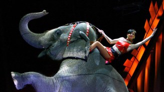 The Ringling Bros. Elephants Take One Last Bow In Their Final Show