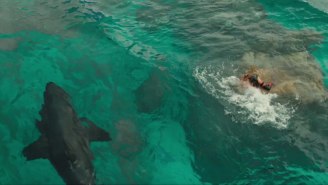 Blake Lively Outwits A Giant Shark In Trailer For ‘The Shallows’