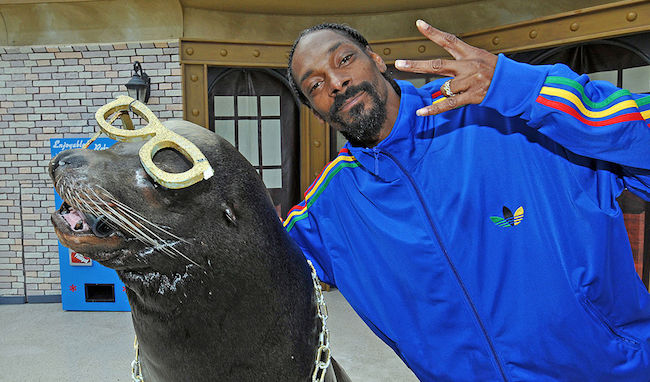 Snoop Dogg At SeaWorld San Diego