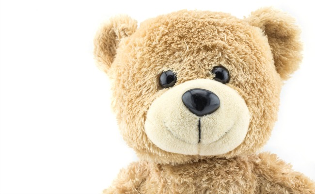 teddy-bear