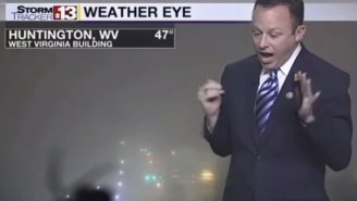 Watch This Weatherman Lose His Mind When A Spider Invades His Screen
