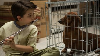 Get ready for the weirdest and most disturbing movie about pets