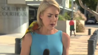 Gorge On The Best News Bloopers 2016 Has Had To Offer So Far