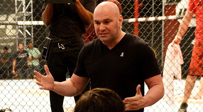 dana-white (1)