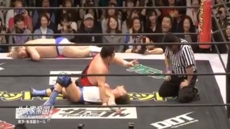 This Japanese Wrestling Match Had The Most Unexpected (And Bizarre) Interruption