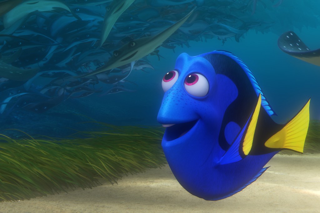What kind of fish is Dory?