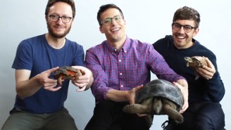 Allow The Lonely Island To Explain The Importance Of Turtle Sex (Beyond Just Comedic Value)