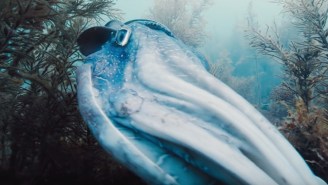 Brad Pitt Narrates The Dreamy New Trailer For Terrence Malick’s ‘The Voyage Of Time’