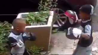This Toddler With Fists Of Fury Is A Better Boxer Than You Are