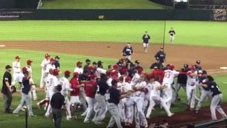 This Massive Brawl At A Minor League Game Results In A Whole Mess Of Ejections