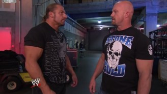 Watch Triple H Absolutely Wreck A Fan Trying To Attack Stone Cold Steve Austin