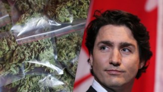 Canadian PM Justin Trudeau Lays Out Some Good Reasons To Legalize Cannabis