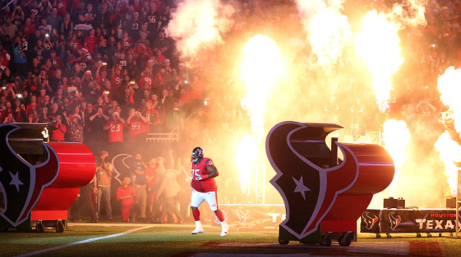 vince wilfork texans