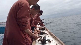 Buddhist Monks Bought Hundreds Of Pounds Of Lobsters, But Not To Eat