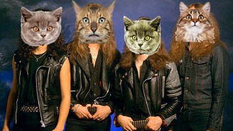 ‘Meowtallica’ Is The Latest Cat Remix Medley The Internet Has Willed Into Existence