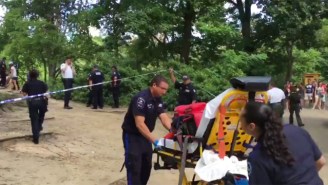 A Mysterious Explosion In Central Park ‘Severs’ A Man’s Foot Ahead Of July 4th