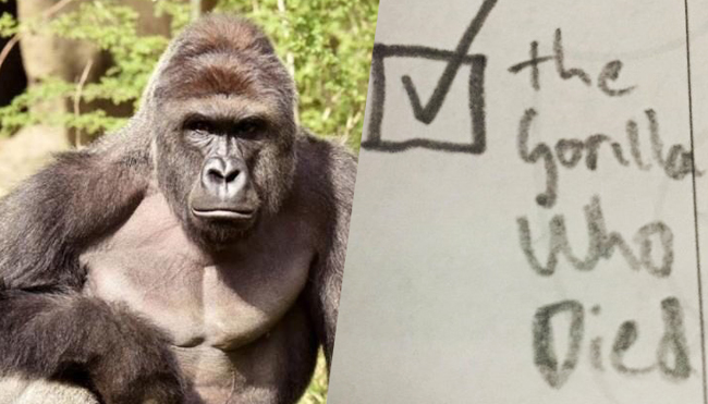 Harambe, a national hero – The BluePrint