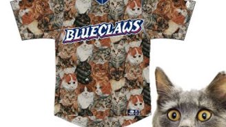 A Baseball Team Will Destroy Its Social Status With These Hideous Cat Uniforms