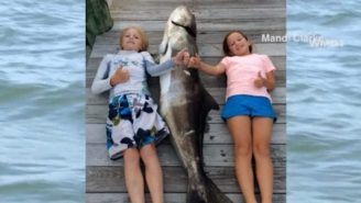 This 9-Year-Old Girl Somehow Reeled In A 95-Pound Fish That Is Literally Bigger Than Her