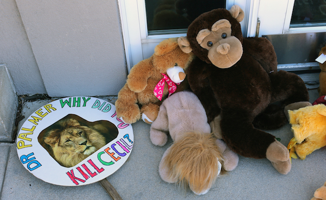 Memorial And Protest Held At Office Of Minnesota Dentist That Killed Famed Lion In Zimbabwe