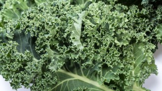 Move Over, Hot Dogs, Because People Are Competitive Eating Kale Now