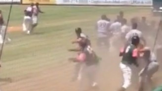 Minor Leaguers Have Upped The Ante With Their Brawls By Fighting In Front Of Crowds Of Children