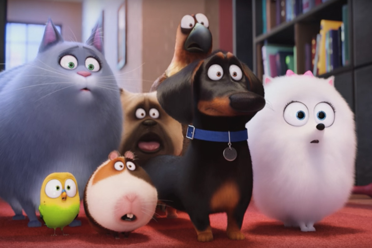 secret life of pets movie scenes