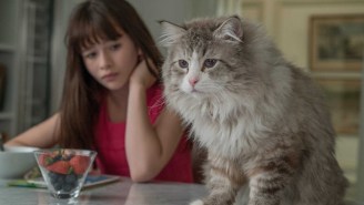 We Watched Kevin Spacey Play A Cat In ‘Nine Lives’ And Kept A Running Diary