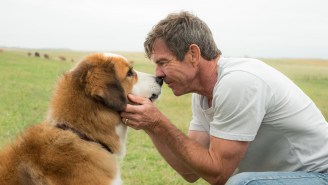 ‘A Dog’s Purpose’ is to be adorable!